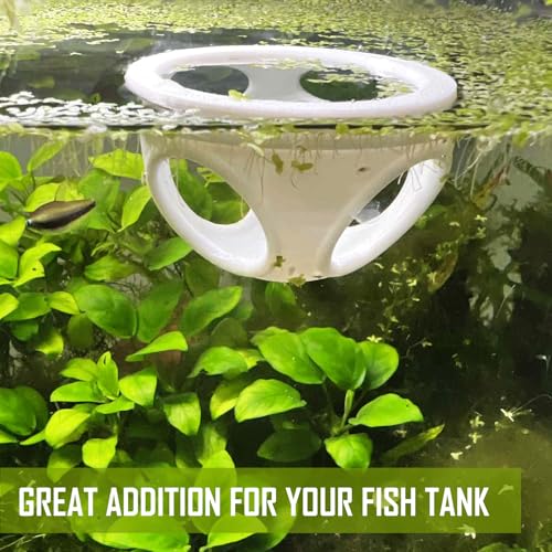 Floating Betta Hide Out, Betta Enrichment Toy. Feeding Ring for Fish & Shrimp, Safe Plastic Aquarium Ornament. (White)