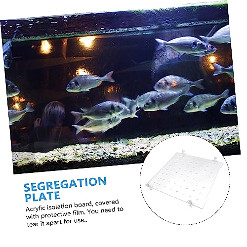 POPETPOP 1set Plate for Aquariums Segregation Board Fixed Clips Fish Divider for Fry Safety and Easy to Install for Fish Tank Separation