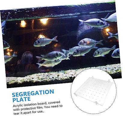 POPETPOP 1set Plate for Aquariums Segregation Board Fixed Clips Fish Divider for Fry Safety and Easy to Install for Fish Tank Separation