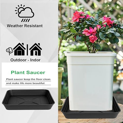 Square Plant Saucer Tray 8 inch 2 Pack, Heavy Duty Plastic Square Plant Saucers for Indoors Outdoor, Flower Planter Drip Trays for Pots, Seed Starting Tray