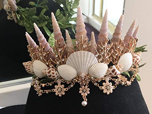 50 Pcs Medium Sea Shells Natural Seashells for Fish Tank, Home Decorations, Beach Theme Party, Wedding Decor, DIY Crafts, Fish Tan