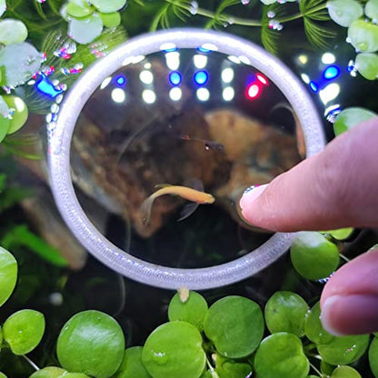Aquarium Feeding Ring Translucent (5 Inch)