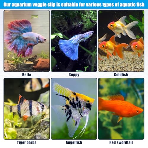 Waterproof Magnetic Seaweed Clip for Saltwater Fish Feeding nori Clip Aquariums Magnet Veggie Feeder Plant clamp Fish Accessories—Patented Product (1pcs Magnetic Veggie Clip)