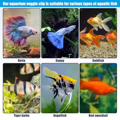Waterproof Magnetic Seaweed Clip for Saltwater Fish Feeding nori Clip Aquariums Magnet Veggie Feeder Plant clamp Fish Accessories—Patented Product (1pcs Magnetic Veggie Clip)