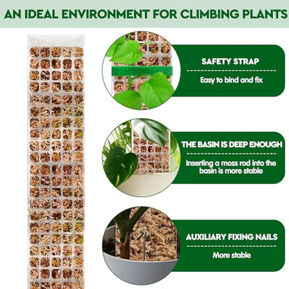 YSKS 6 Pcs 24-inch Plastic Moss Poles for Plants ，Moss Poles for Climbing Plants, Indoor Plant Support Work with Sphagnum muss
