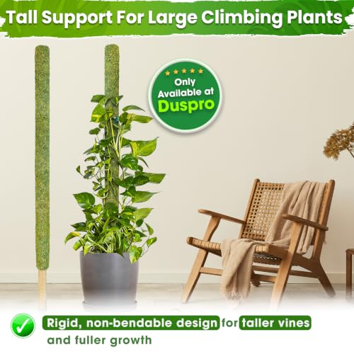 59’’ Large Green Mesh Moss Pole Monstera Plant Support, Tall Plant Stakes, Moss Pole for Plants Monstera, Garden Pole, Moisture Stick for Plants (1pc., 59''), Natural