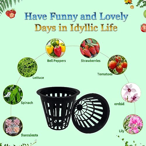 100 PCS 2 Inch Heavy Duty Net Pots, Slotted Mesh Hydroponic Cups for Garden, Plant Nursery Net Cups for Hydroponics and Aquaponics