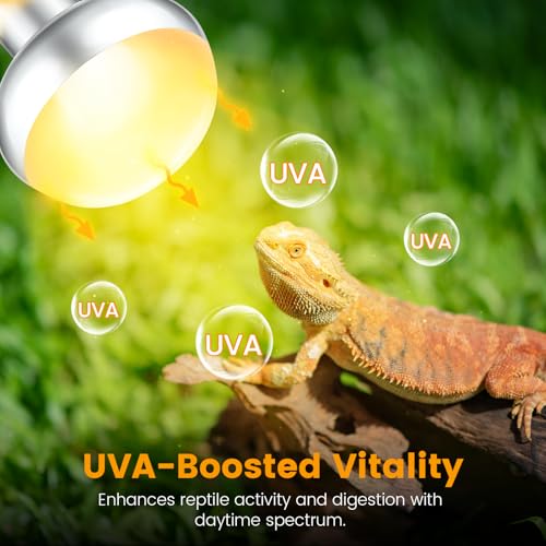 Dual Reptile Lamp Fixture with 100W Daytime Heat & 100W Nighttime Infrared Heat Bulbs, 2 Independent Switches, Reptile Heat Lamp Combo Pack - No UVB - size: ST2