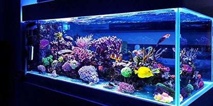 Aquatic Fundamentals Metal Aquarium Stand (10 Gallon, Black) - color: Black, size: 10 Gallon