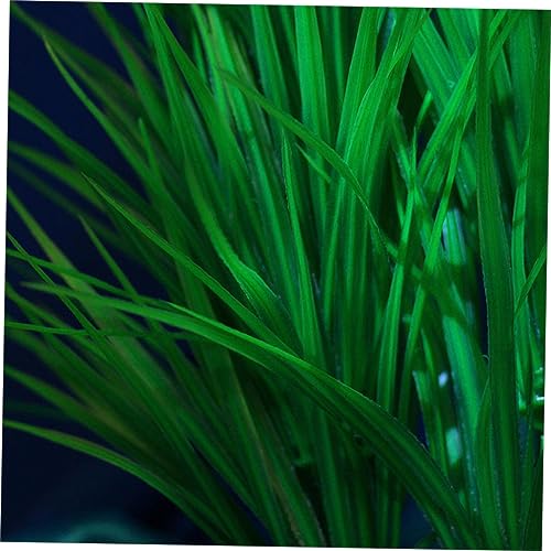 LIOOBO Green Lifelike Aquatic Scallion Grass Ornament for Fish Tanks Realistic Artificial Water Plants Base for Decorative Aquariums and Micro Landscapes