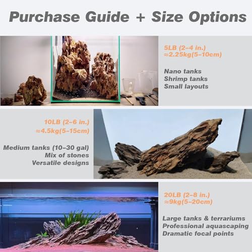 Dragon Stone Aquarium Rocks 5lb Seiryu Stone for Aquariums Landscaping Model Fish Tanks Terrariums Vivariums Paludarium Amphibian Enclosures(2-4 inches) - size: 5LB(2-4 inches)