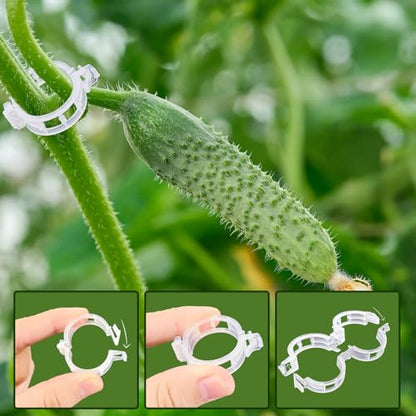 400 Pcs Plant Support Clips, Snap-On Trellis Clips for Climbing Plants, Tomato & Grape Vine Support, 1" Inner Diameter Plastic Garden Clips to Grow Upright (White)