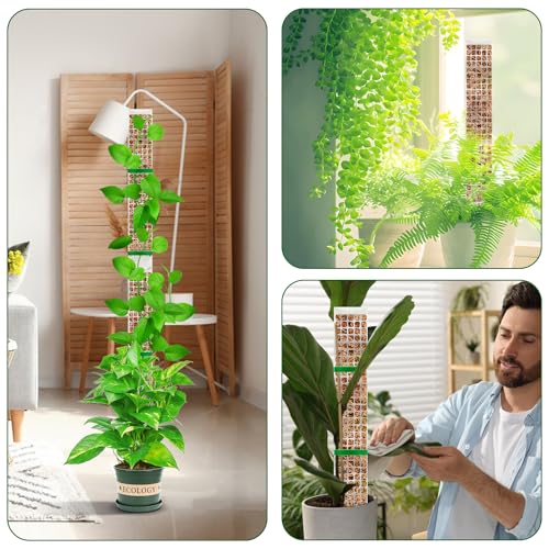 YSKS 6 Pcs 24-inch Plastic Moss Poles for Plants ，Moss Poles for Climbing Plants, Indoor Plant Support Work with Sphagnum muss