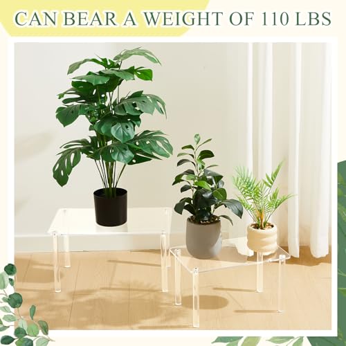 3 Pcs 16, 15, 14 Inch Acrylic Risers Display Stands Rectangular 4-leg Acrylic Plant Stand, 6mm Thick Clear Shelf Riser Display Stands for Decor Collectibles Figures and Item Photography - size: 16×10×8 In，15×9×7 In， 14×8×6 in