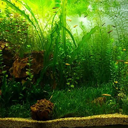 AYNEFY Aquarium Fish Background Poster, Water Grass Aquarium Background Poster PVC Adhesive Background Sticker Wallpaper Poster Aquarium Backdrop Decor (#8) - size: #8