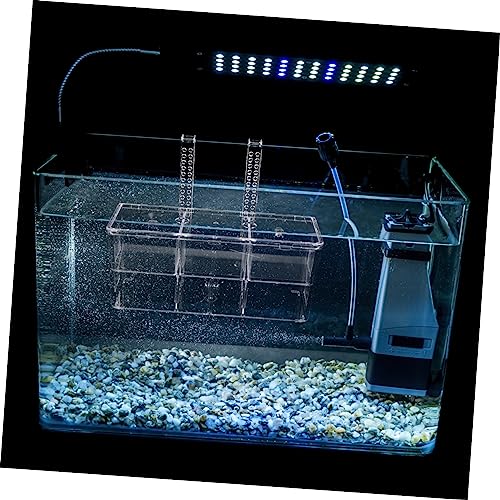 BESPORTBLE Fish Breeding Box Aquarium Separation Container Cups Isolation Box for Hatching Healthy Environment for Pregnant Fish
