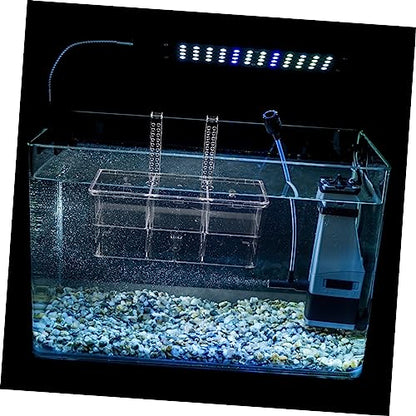 BESPORTBLE Fish Breeding Box Aquarium Separation Container Cups Isolation Box for Hatching Healthy Environment for Pregnant Fish