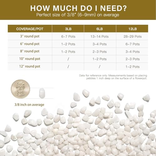 3 lbs Pebbles for Indoor Plants, 3/8 Inch Pea Gravel for Fish Tank, Polished Decorative Rocks for Succulent, Natural River Stones for Vases, Cactus, Landscaping, Bird Bath, Aquarium, White