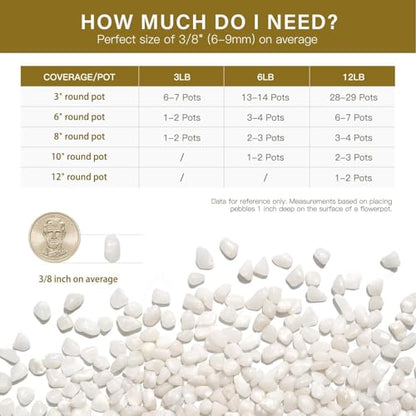 3 lbs Pebbles for Indoor Plants, 3/8 Inch Pea Gravel for Fish Tank, Polished Decorative Rocks for Succulent, Natural River Stones for Vases, Cactus, Landscaping, Bird Bath, Aquarium, White