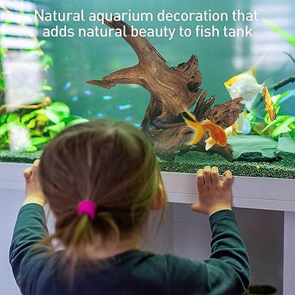 Natural Driftwood for Aquarium Decor, 1-Piece 13''-17'' Large Driftwood for Decorations on Fish Tank, Reptiles Bearded Dragon Accessories or Air Plants