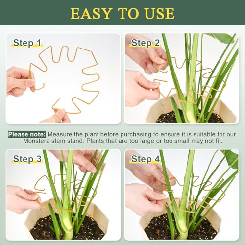 Plant Stem Support 2 Pack, Adjustable Metal Monstera Plant Support Small & Large, Unique Design Plant Supports for Indoor Plants Moss Pole Growth (Gold) - size: 5.5*5.9/1, 6.3*7.5/1