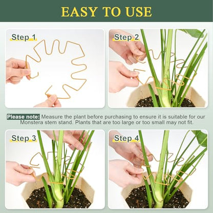Plant Stem Support 2 Pack, Adjustable Metal Monstera Plant Support Small & Large, Unique Design Plant Supports for Indoor Plants Moss Pole Growth (Gold) - size: 5.5*5.9/1, 6.3*7.5/1