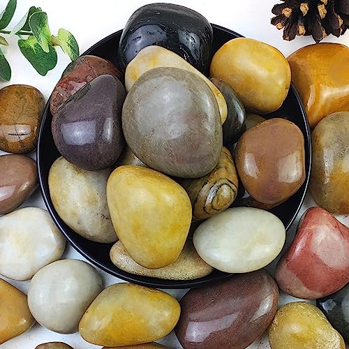 5lbs Pebbles for Indoor Plants, 2-3 Inch Mixed Color High Polished Large River Rocks Outdoor Decorative Stones Vase Filler Fish Tank Aquariums Landscaping Garden Outdoor and Indoor DIY - color: Mixed Color, size: 5 Pounds