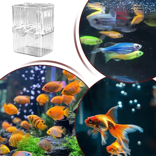 Breeder Box for Fish Tank, Transparent Floating Acclimation Hatching Incubator Box with Suction Cups, for Shrimp Guppy Platy Nursery, Hotel Lobby pet Store Cafe Aquarium Decor
