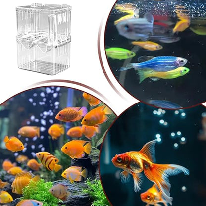 Breeder Box for Fish Tank, Transparent Floating Acclimation Hatching Incubator Box with Suction Cups, for Shrimp Guppy Platy Nursery, Hotel Lobby pet Store Cafe Aquarium Decor