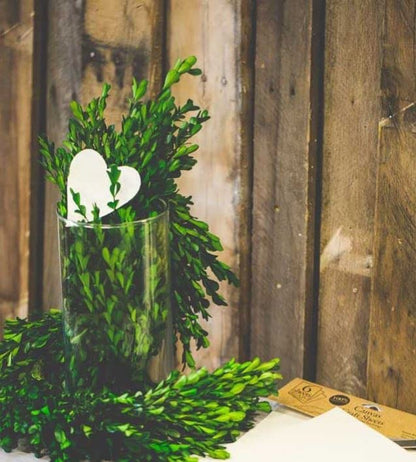 Richland Preserved Boxwood Garland 70" - color: Green, size: 70''