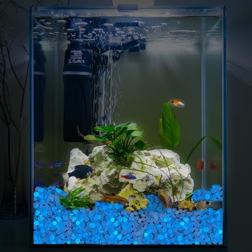 Glow in the Dark Rocks for Outdoor Landscaping, Decorative Garden Pebbles, Luminous Stones for Vases, Pathway, Walkway, Yard, Patio Decor, Glowing Gravel for Fountain, Driveway, 1000PCS, Blue