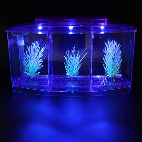 Fish Breeding Box, Aquarium Breeder Box Guppy Breeder Box Acrylic Fish Breeding Box Three Divisions Breeding Isolation Box with LED (Purple)