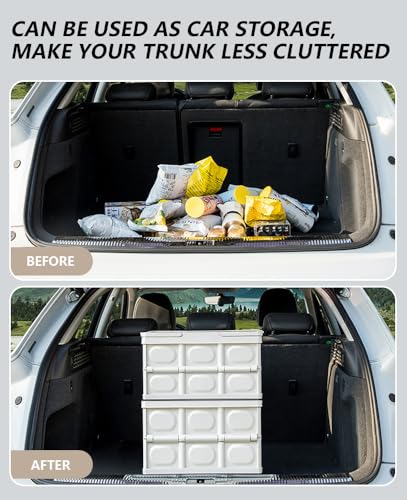 2 PCS Collapsible Storage Bins Box with Lids and Handle, 30L 8Gal Portable Storage Crate Containers Totes, Instacrate Stackable Foldable Camping Basket Supplies for Fishing Car RV, Office (Black)