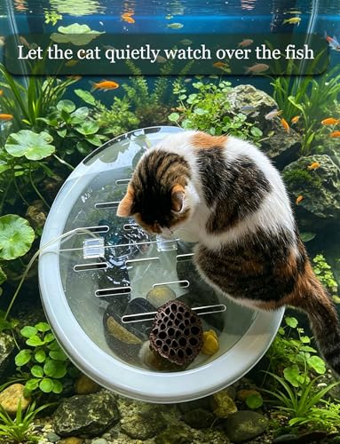 5mm Thicked Round Acrylic Aquarium Cover, Customizable Fish Tank Top Panel, Cuttable Lid for Aquariums, Reptile Habitats and Display Tanks(8in/20.32cm)