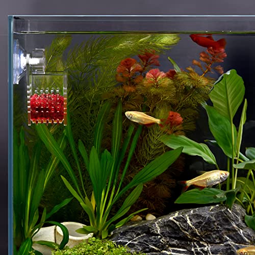 Cone Red Worm Feeder Acrylic V-Shape Shrimp Fish Tank Feeding Cup with Suction Cup