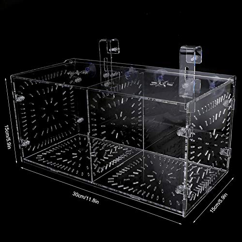Acrylic Fish Breeding Box 20x20x20cm Mesh Rearing Trap for Baby Shrimp Clownfish Guppy, Isolation Board Prevents Adult Attack, Adjustable Suction Cup Fixation for Aquarium Hatchery - size: 30CM*15CM*15CM
