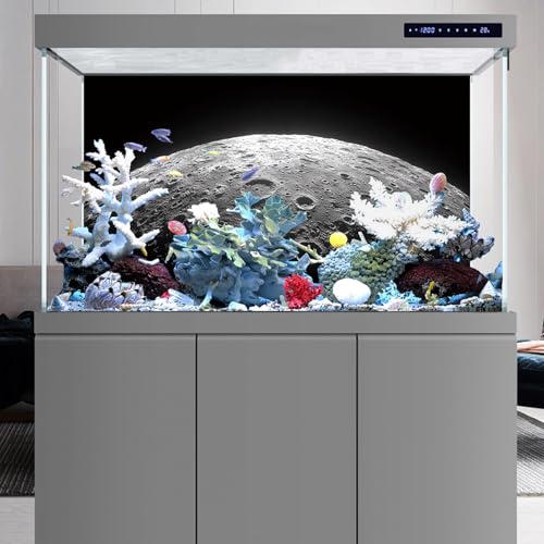 AWERT 48x18 inches Aquarium Background Moon Surface Space Planets Fish Tank Background Polyester Terrarium Background