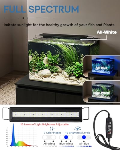 Glass Fish Tank Kit, 10 Gallon Betta Fish Tank Aquarium Starter Kit with Filter, Lights, Lid, for Betta, Goldfish, Small Fish or shrimg