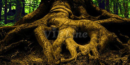 Large Tree Root PVC Aquarium Background Poster Fish Tank Decorations Landscape (36" x 12"/ 91 x 30cm) - size: 36" x 12"/ 91 x 30cm