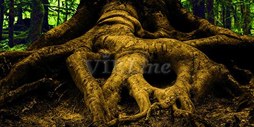 Large Tree Root PVC Aquarium Background Poster Fish Tank Decorations Landscape (48" x 24"/ 122 x 61cm) - size: 48" x 24"/ 122 x 61cm