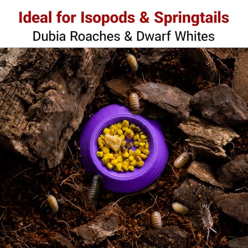 12pcs Isopods Feeder Bowls, Tiny Feeding Dish for Isopods, Springtails, Dubia Roaches, Dwarf Invertebrates – Colorful Food Dishes for Terrariums and Enclosures