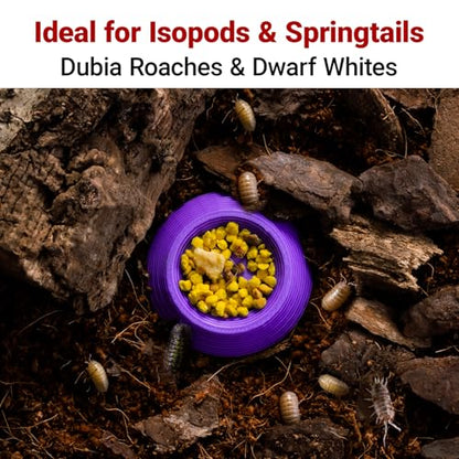 12pcs Isopods Feeder Bowls, Tiny Feeding Dish for Isopods, Springtails, Dubia Roaches, Dwarf Invertebrates – Colorful Food Dishes for Terrariums and Enclosures