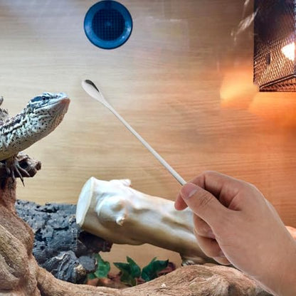 Toyvian 5pcs Durable Pet Food Scoops Ergonomic Reptile Feeding Utensils for Lizards and Small Animals Lightweight and Portable for Home and Aquarium Use