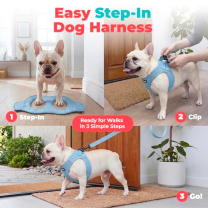 Voyager Step-in Air Dog Vest Harness - Baby Blue, X-Small - color: Baby Blue, size: XS (Chest: 13 - 14.5")
