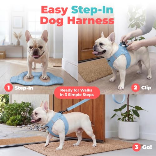 Voyager Step-in Air Dog Vest Harness - Baby Blue, Small - color: Baby Blue, size: S (Chest: 14.5 - 16")