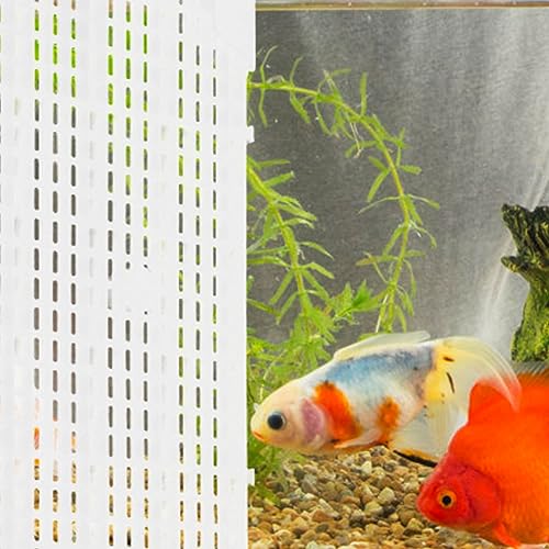 Toyvian 4pcs Aquarium Divider Panel Transparent Fish Separator for Betta Fish Easy Install Cups Cuttable for Various Tank Isolation Board