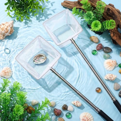2 Pack Small Fish Nets for Fish Tank 2" Tiny Aquarium Net 2 Inch Shrimp Net with Extendable Stainless Steel Handle