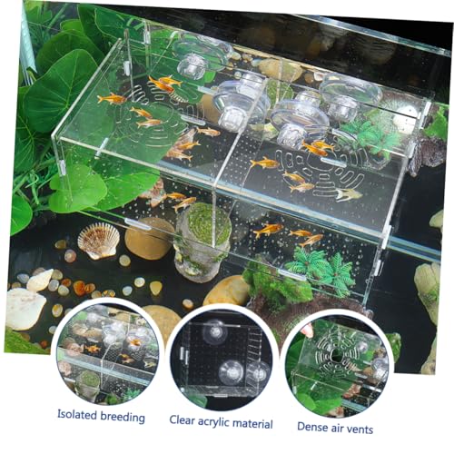 Fish Breeding Box for Aquarium Fish Tank Acclimation Box Transparent Incubator