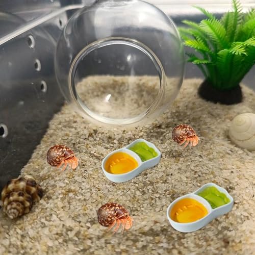 2 Pack Hermit Crab Food Dish Ceramic Hermit Crab Water Bowl Reptile Water Bowl Aquarium Accessory for Bearded Dragon Lizard Frog Gecko Tortoise Snail Frog