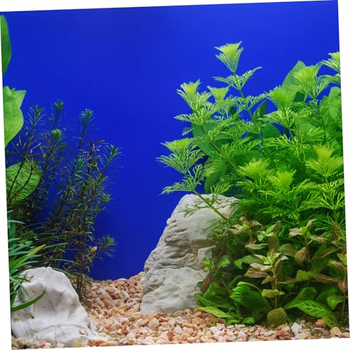 Aquarium Background Sticker: Fish Tank Backdrop Wallpaper Roll PVC Self-Adhesive Sticker Decal for DIY Aquarium Underwater Scenery Decoration